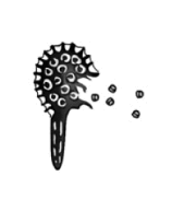 0601e7gg-faa1-158x193.png