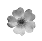 0601e7q7-4466-148x145.png