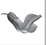 0601e7qb-bddf-158x155.png