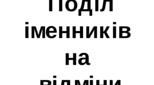 Презентація "Поділ іменників на відміни"