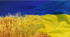 Національні символи України.  Історія походження і значення тризуба. 