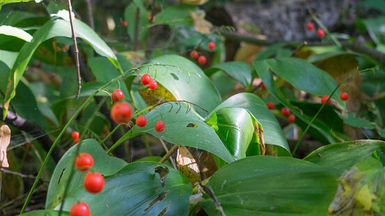 0601ebxx-f674-553x311.jpg