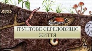 Грунтове середовище існування