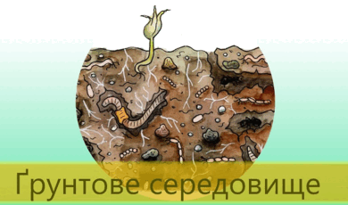 0601ecia-321a-390x230.png