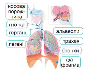 0601ed42-1d6a-299x245.png