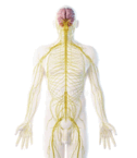 0601ed6b-d011-126x145.png