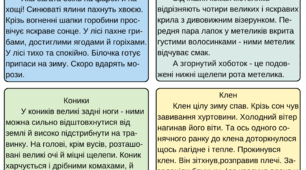 Тексти для диктантів та списування
