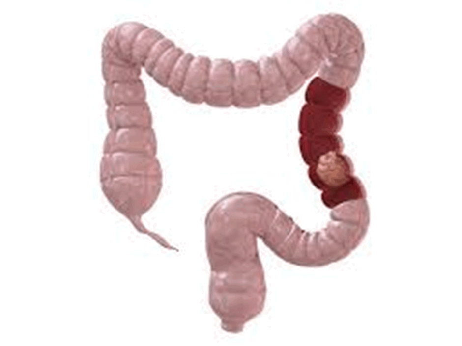 0601eev8-cdb5-940x705.png