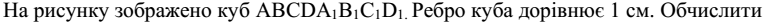 0601eevi-629d-771x22.png