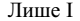 0601eex2-182e-80x21.png