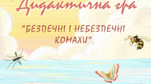 Дидактична гра "Безпечні і небезпечні комахи"