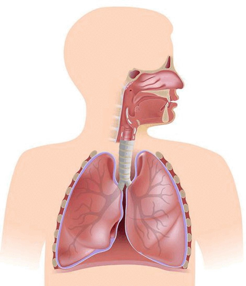 0601ef3n-f2b0-940x1093.png
