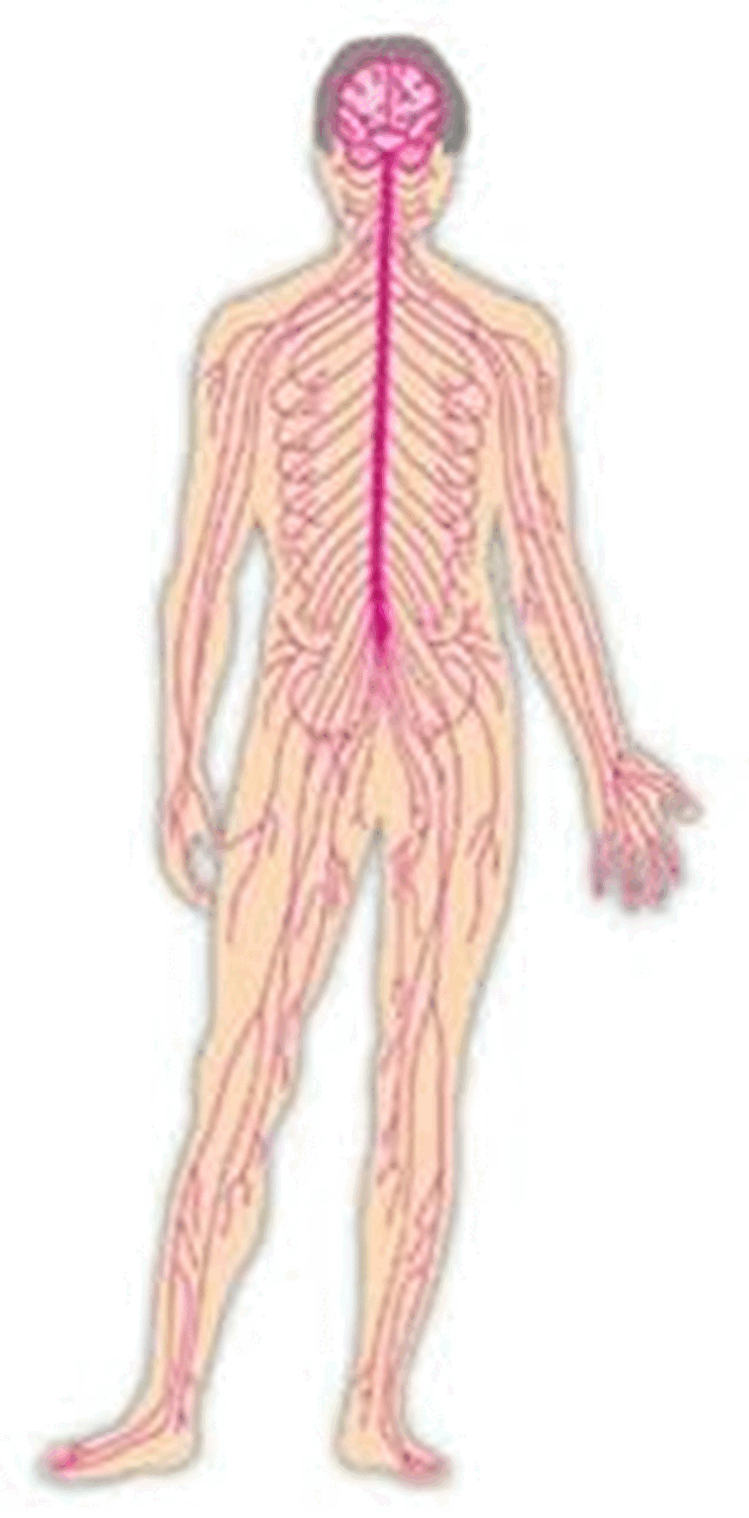 0601ef5h-f5b0-749x1518.png