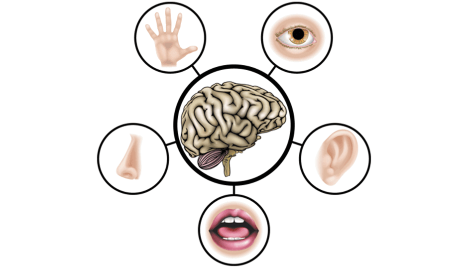 0601ef6v-d5d5-940x540.png