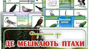 Дидактична гра "Де мешкають птахи"