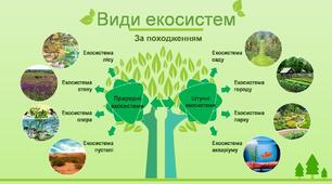  Підсумковий тест за рік з інтегрованого курсу "Пізнаємо природу"