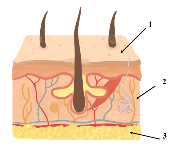 0601ehtd-3add-615x515.png
