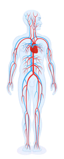0601ei5y-1397-210x523.png
