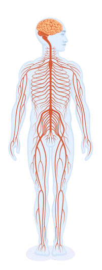 0601ei62-f74e-201x529.png