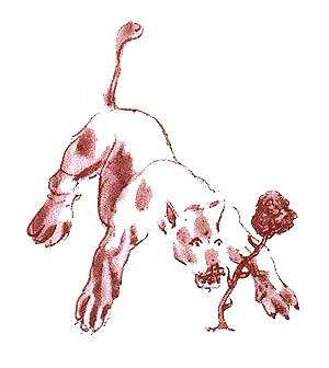 0601ekff-e4ee-300x336.jpg