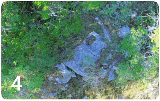 0601ekqm-df37-513x324.png