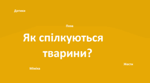 "Як спілкуються тварини?" презентація