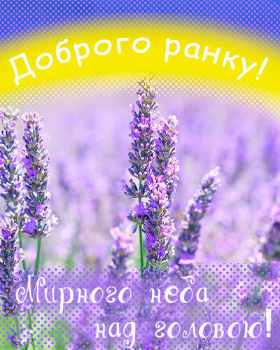 Доброго мирного ранку картинки