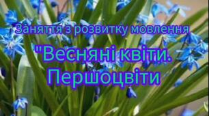Заняття з розвитку мовлення "Весняні квіти - першоцвіти"