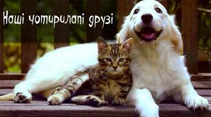 Гуманне й відповідальне ставлення до тварин.
