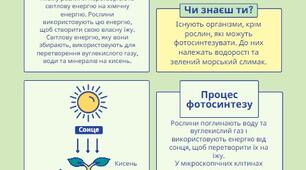 Ілюстрація до теми "Фотосинтез"