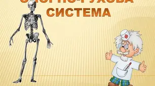 Опорно - рухова система