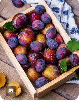 0601euq4-326c-156x200.png