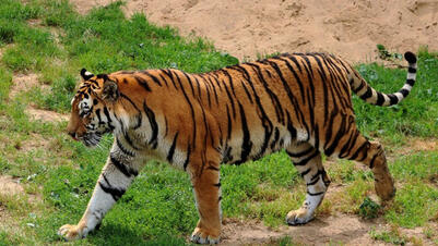 0601ew0v-76e5-401x226.jpg