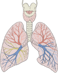 0601ewqm-15ce-332x425.png