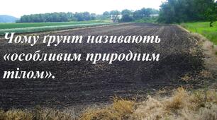 Чому ґрунт називають «особливим природним тілом». (НУШ)