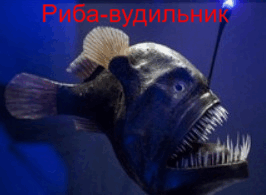 0601ez9j-5cd8-266x195.png