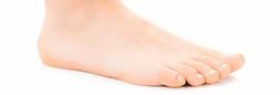 The foot – an introduction to an amazing and complex part of the body