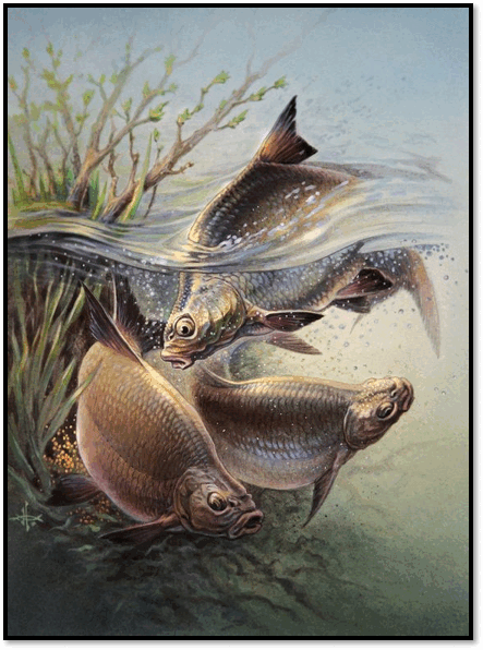 0601f3a5-2a8d-443x596.png
