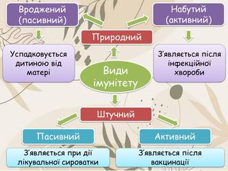 0601f3q7-e328-333x250.jpg