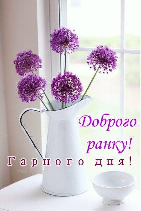 Изображение пина-истории