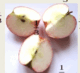 0601fahu-d921-80x73.png