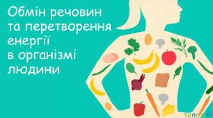 Обмін речовин