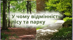 "У ЧОМУ ВІДМІННІСТЬ ЛІСУ ТА ПАРКУ"