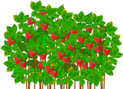 0601fgue-c933-176x128.png