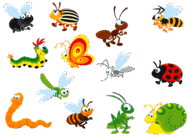 0601fgxg-df93-192x137.png