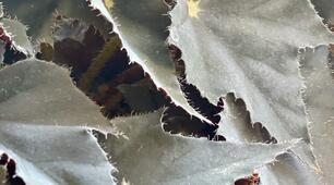  Підсумковий тест з теми "Таємниці організму Людини"