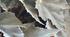  Підсумковий тест з теми "Таємниці організму Людини"