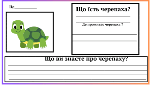 Робочий аркуш про інформацію черепахи . 3-4 клас НУШ