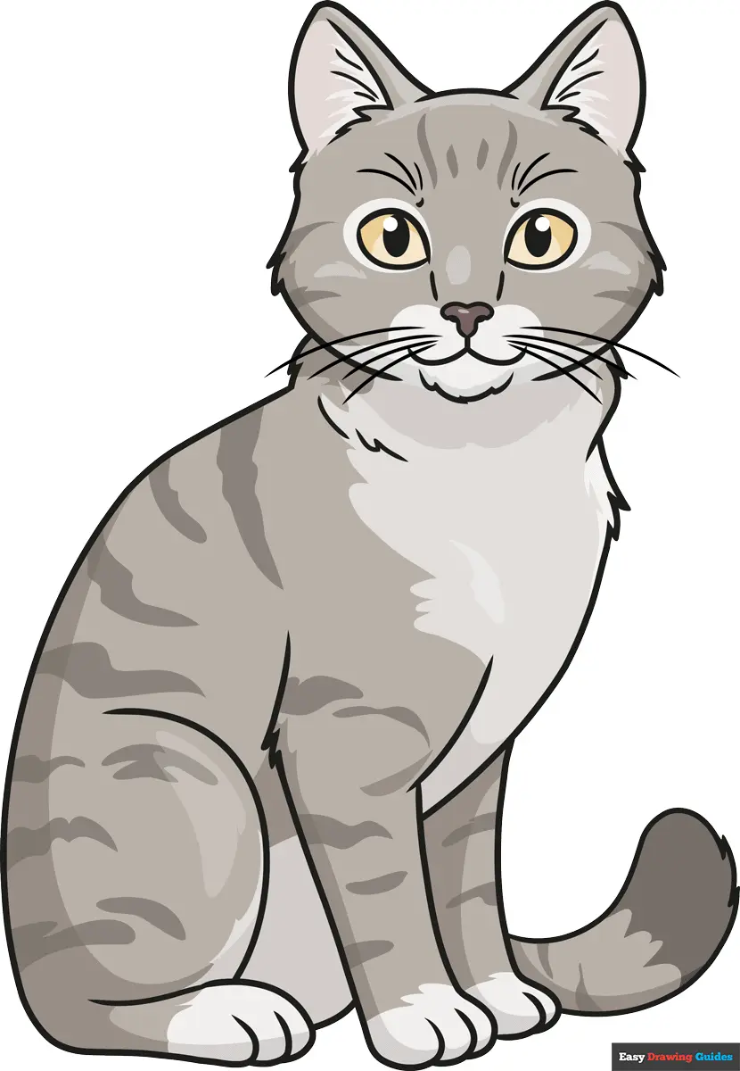 0601fnbj-9123-830x1200.webp