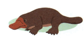0601fnrm-af57-272x125.png